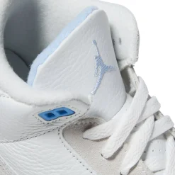 Air Jordan 3 Retro PS