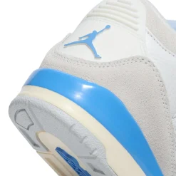 Air Jordan 3 Retro PS