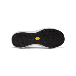Arc'teryx Sylan Pro