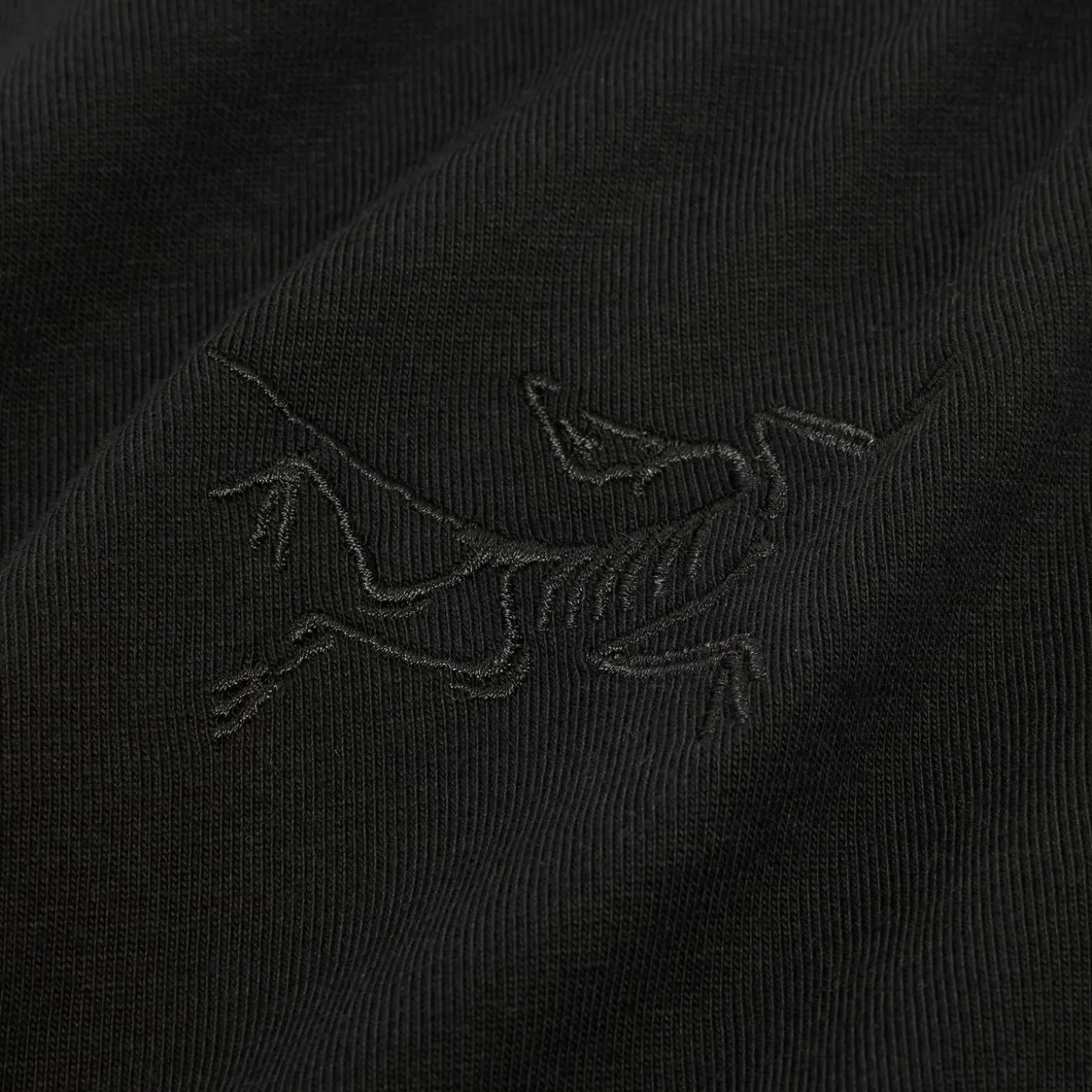 Arc'teryx Womens Kragg Cotton Little Bird Short Sleeve Crew T-Shirt