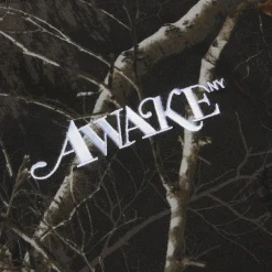 Awake NY Classic Logo Hoodie