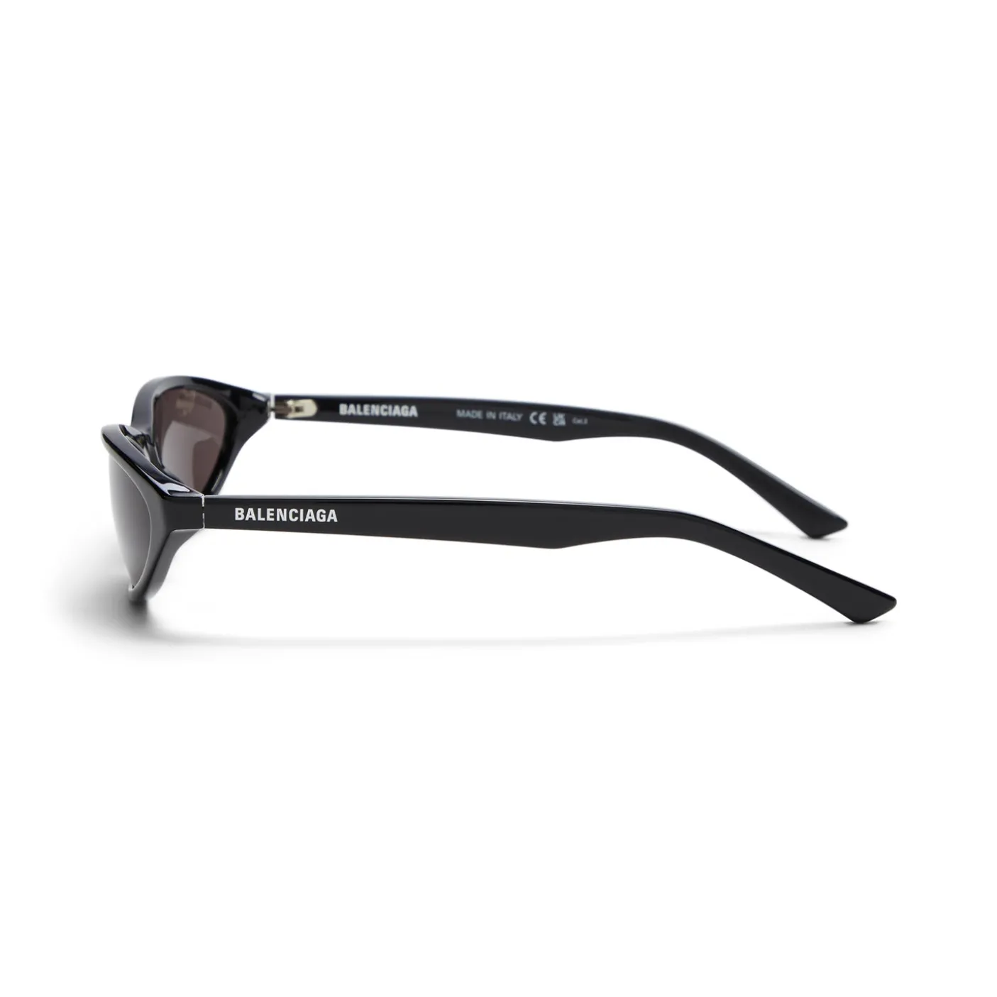 Balenciaga Neo Oval 2.0 Sunglasses
