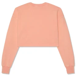 Balmain Vintage Logo Embroidery Cropped Sweatshirt