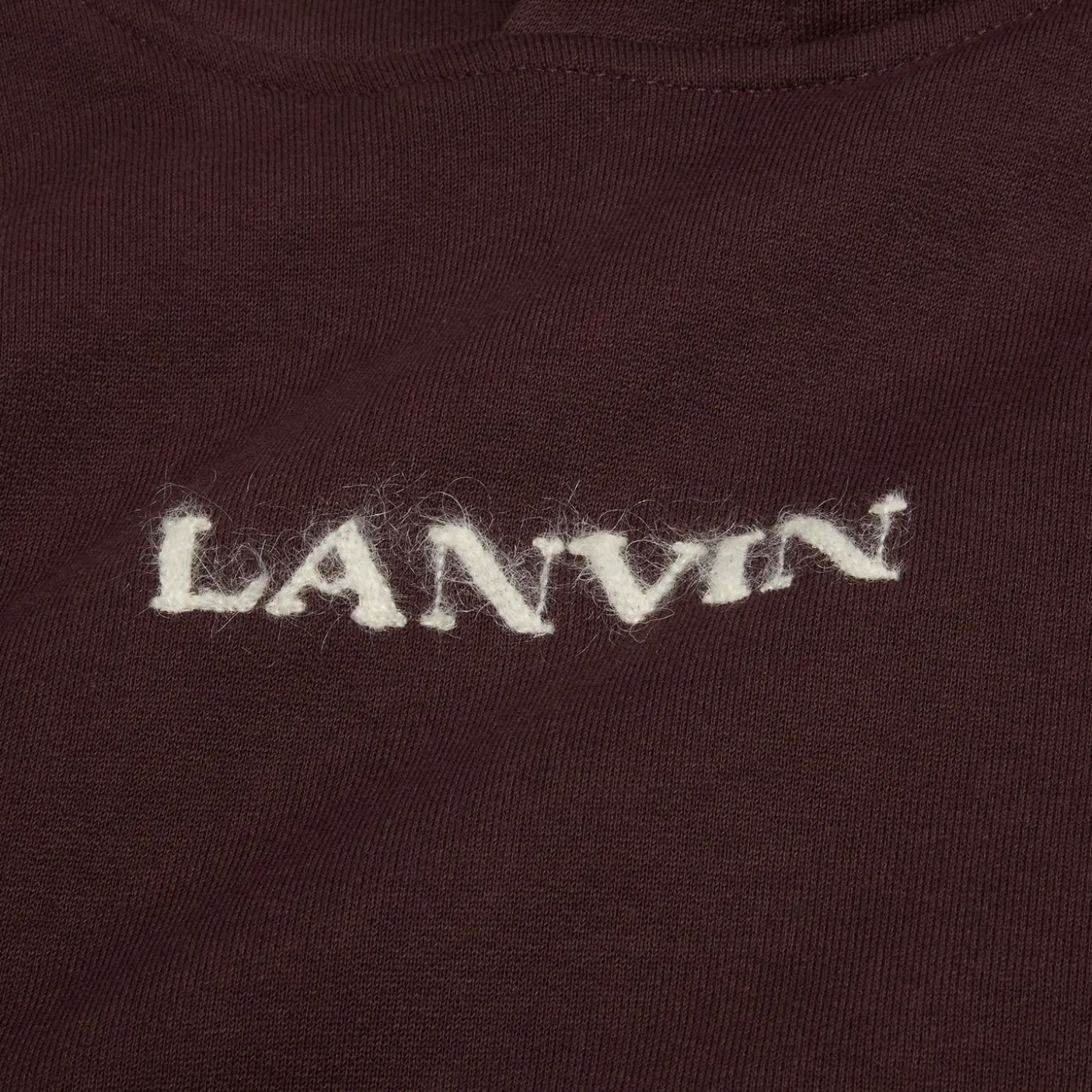 Lanvin Logo Embroidered Hoodie