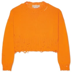 MARNI Cotton Cropped Sweater