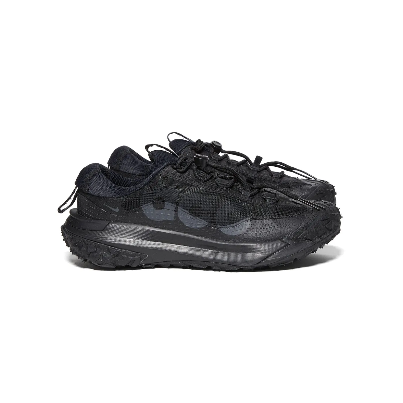 Nike ACG Mountain Fly 2 Low