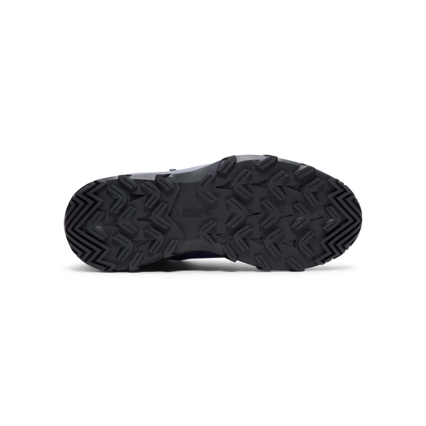Nike Cygnal