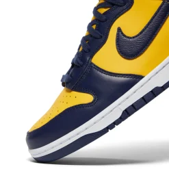 Nike Dunk High Retro SE