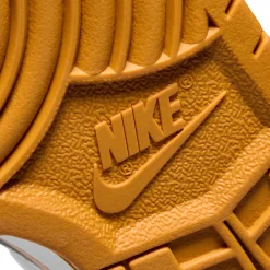 Nike Dunk Low QS