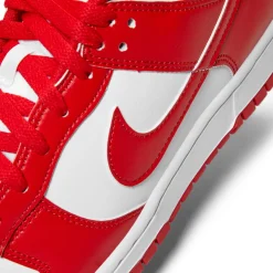 Nike Dunk Low Retro