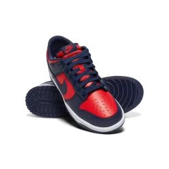Nike Dunk Low Retro
