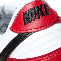 Nike Kids Dunk Low GS