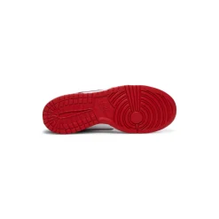Nike Kids Dunk Low Retro