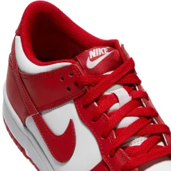 Nike Kids Dunk Low Retro