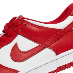 Nike Kids Dunk Low Retro
