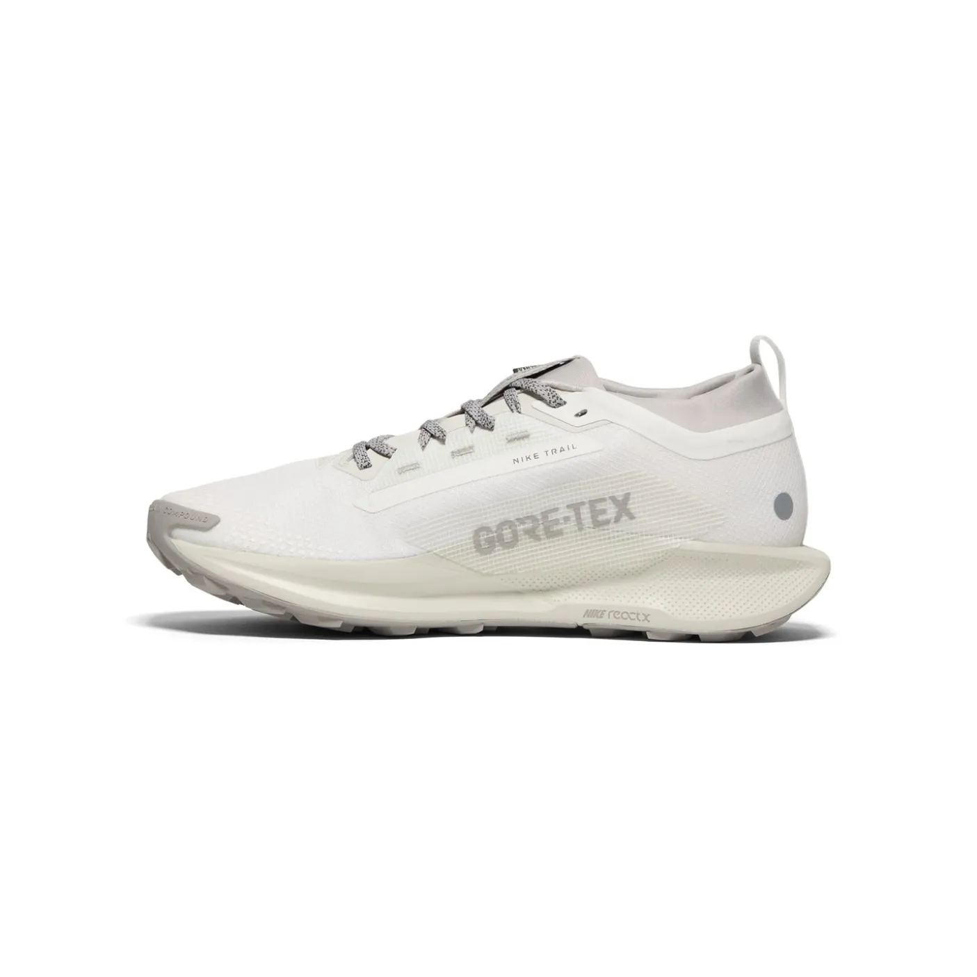 Nike Pegasus Trail 5 GORE-TEX SP