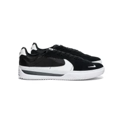 Nike SB BRSB Eco