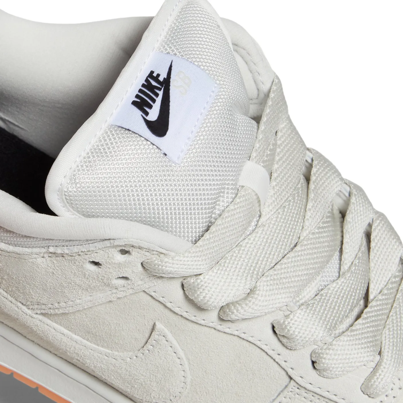 Nike SB Dunk Low Pro