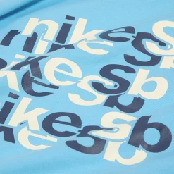 Nike SB Tee