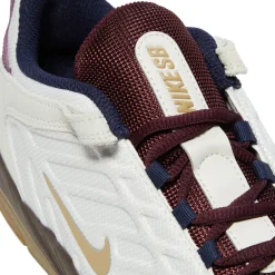Nike SB Vertebrae