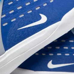 Nike SB Zoom Nyjah 3