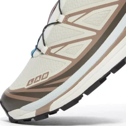 Salomon XT-6