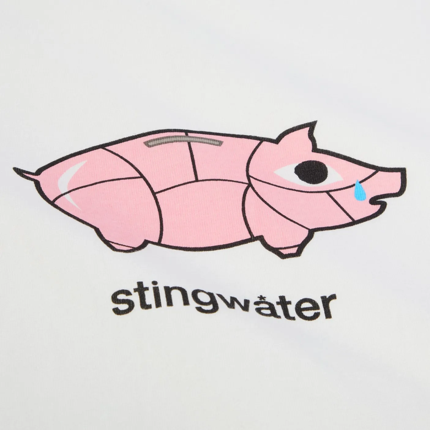 Stingwater Budget Cut T Shirt
